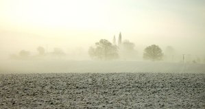 cover-1570627029-77.jpg