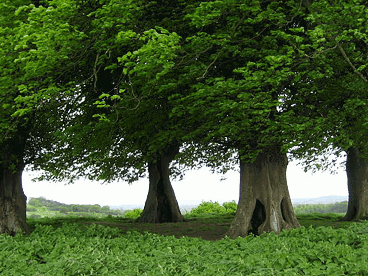 »Die Axt an die Ensembles wird heute keiner mehr ansetzen.«