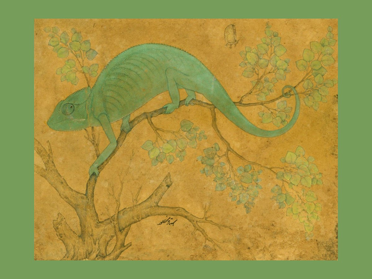 Virtuosität der Poesie